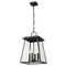 Z-Lite Broughton Outdoor Chain Mount Ceiling Fixture, 4-Light, 12.5 In.W x 19.5 In.H, Black/Clear Beveled 521CHB-BK - alternate 3